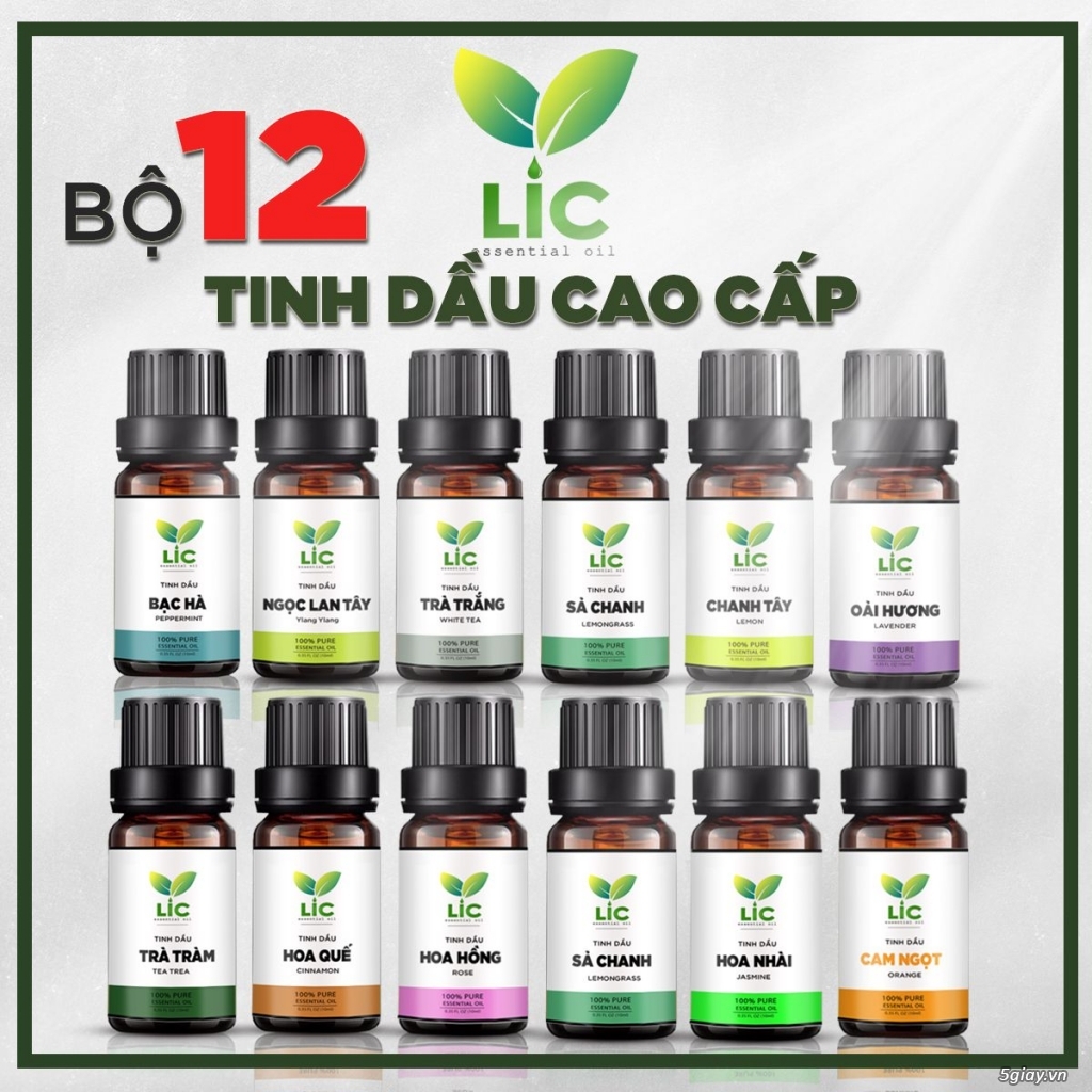 Bộ 12 tinh dầu thiên nhiên cao cấp LIC store