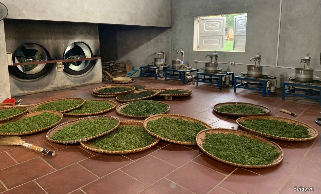 Trà Thái Nguyên 100% Nguyên chất, 150k/kg - 2