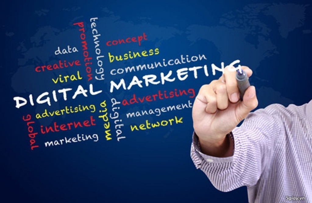 Tư vấn giải pháp Digital Marketing SME