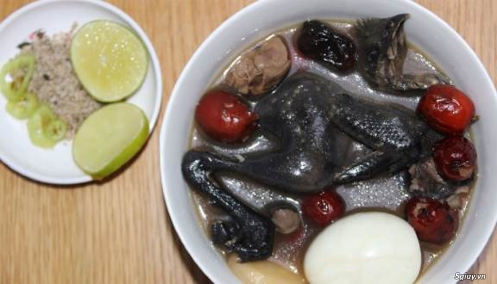 trang trại thịt gà ác chuyên cung cấp sĩ thịt gà ác hầm thuốc bắc - 3