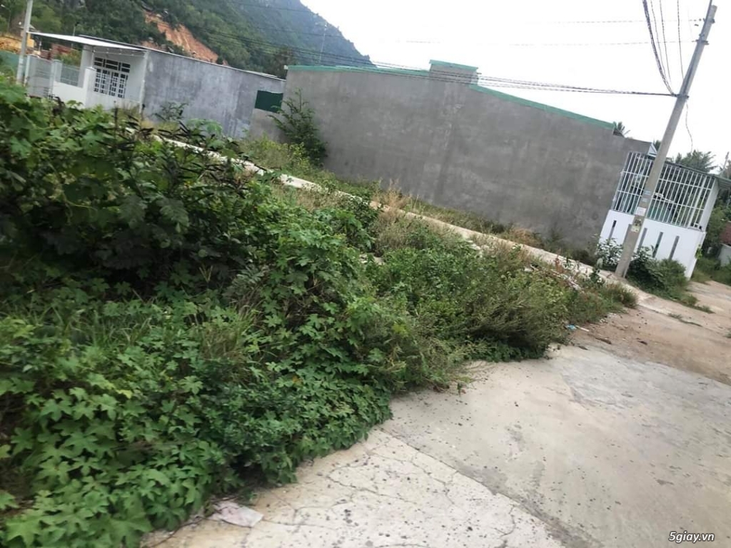 ĐẤT FULL THỔ - GIÁ CỰC MỀM