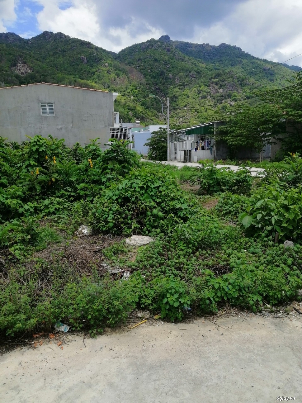 ĐẤT FULL THỔ - GIÁ CỰC MỀM - 2