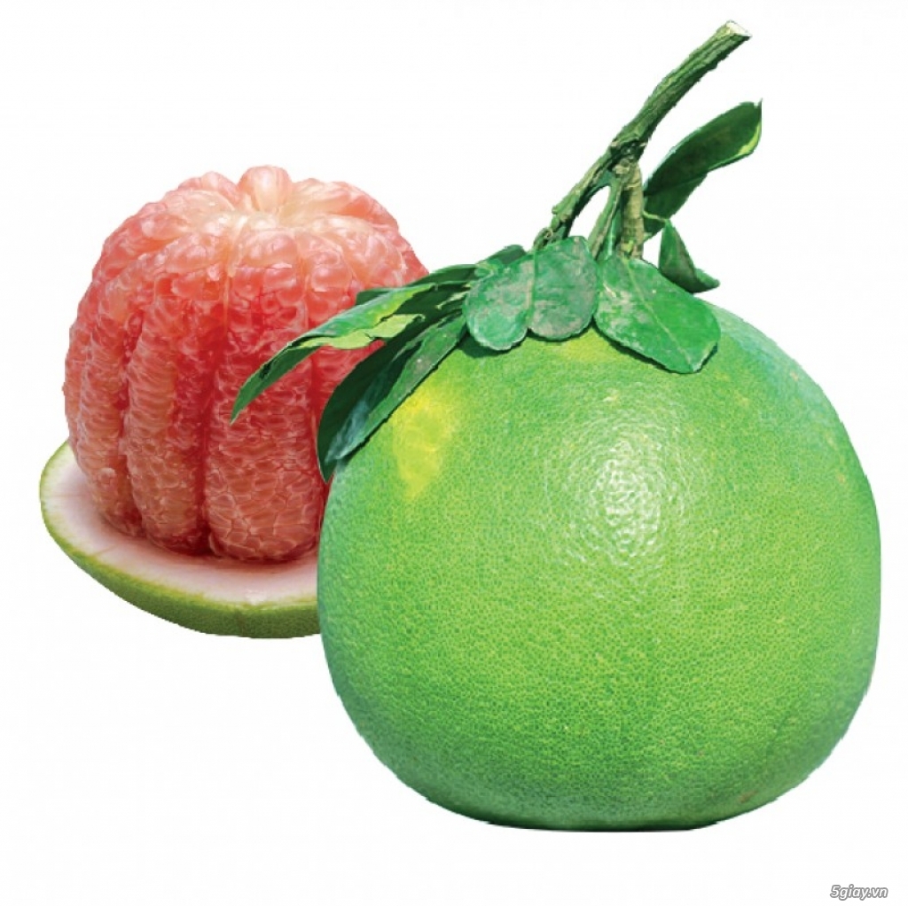 Bưởi da xanh Bến Tre