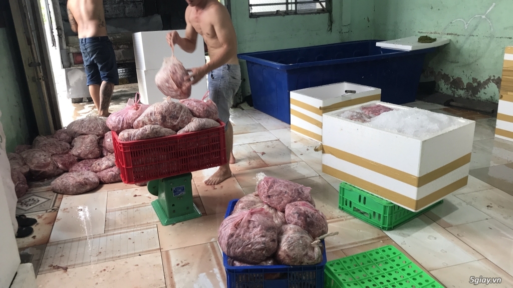 Bưởi da xanh Bến Tre - 3