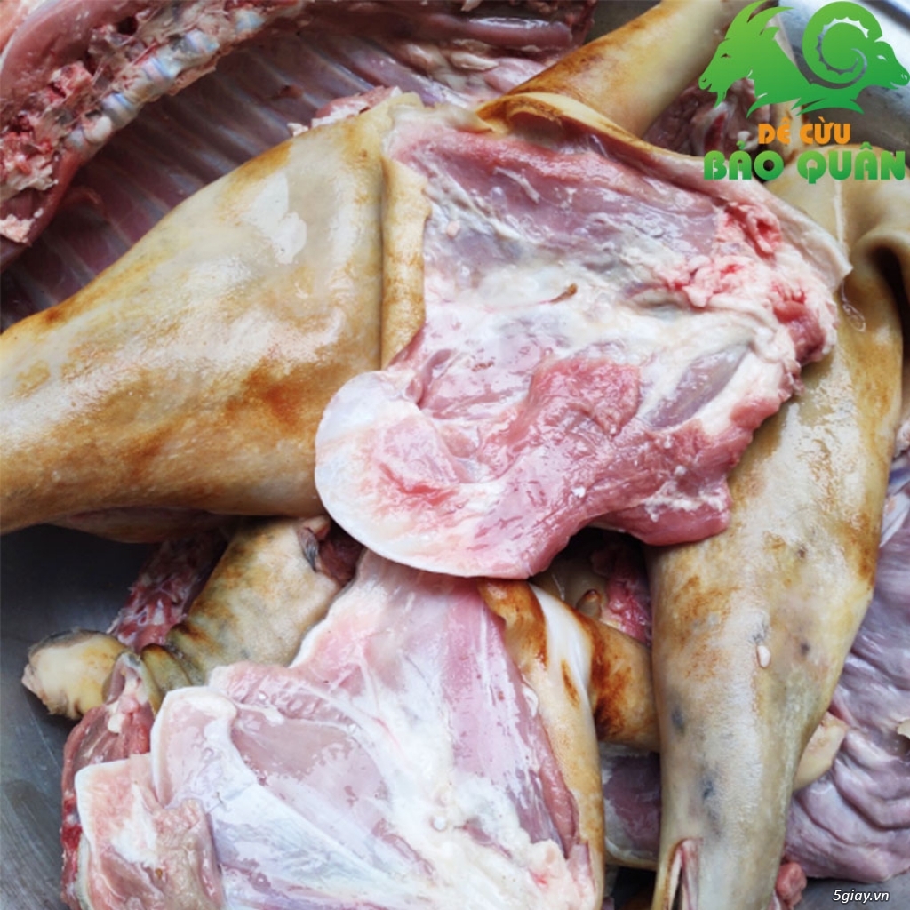 Mua/bán Thịt cừu tươi, thịt cừu Ninh Thuận, Đùi cừu, sườn cừu tươi - 1