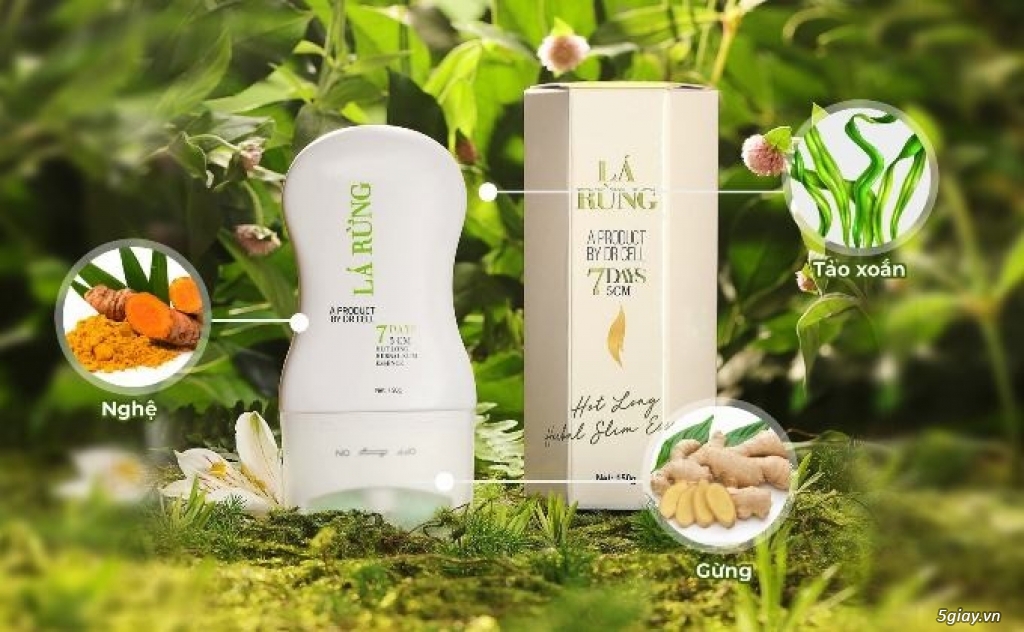 Tại sao cao lá rừng Dr Cell được nhiều phụ nữ Việt tin dùng để giảm mỡ