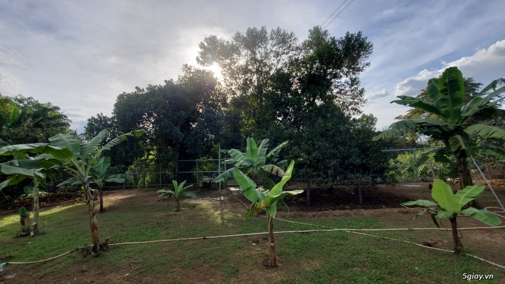 Cần bán nhà khu vực vỉnh cửu biên hòa đồng nai