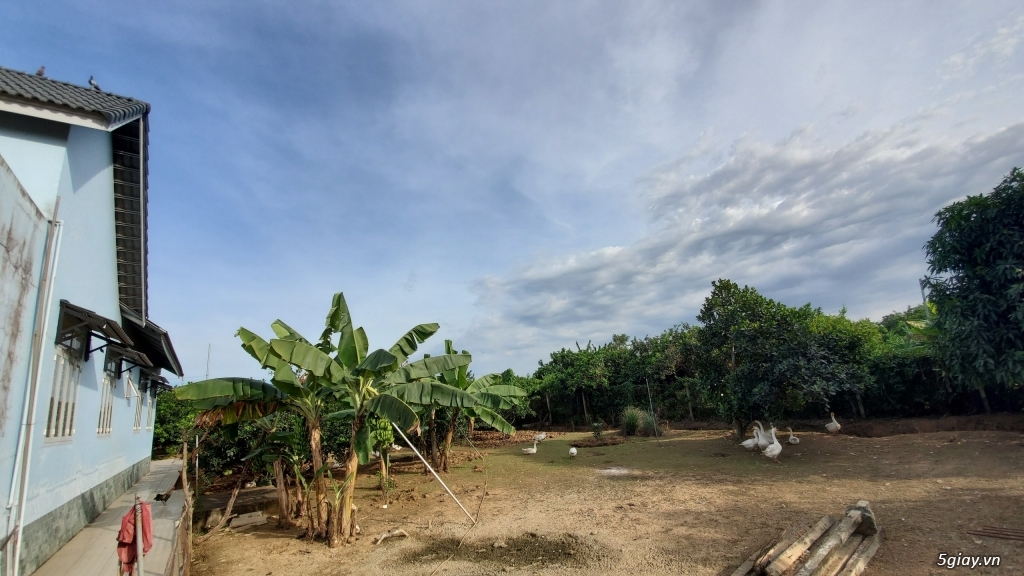 Cần bán nhà khu vực vỉnh cửu biên hòa đồng nai - 4