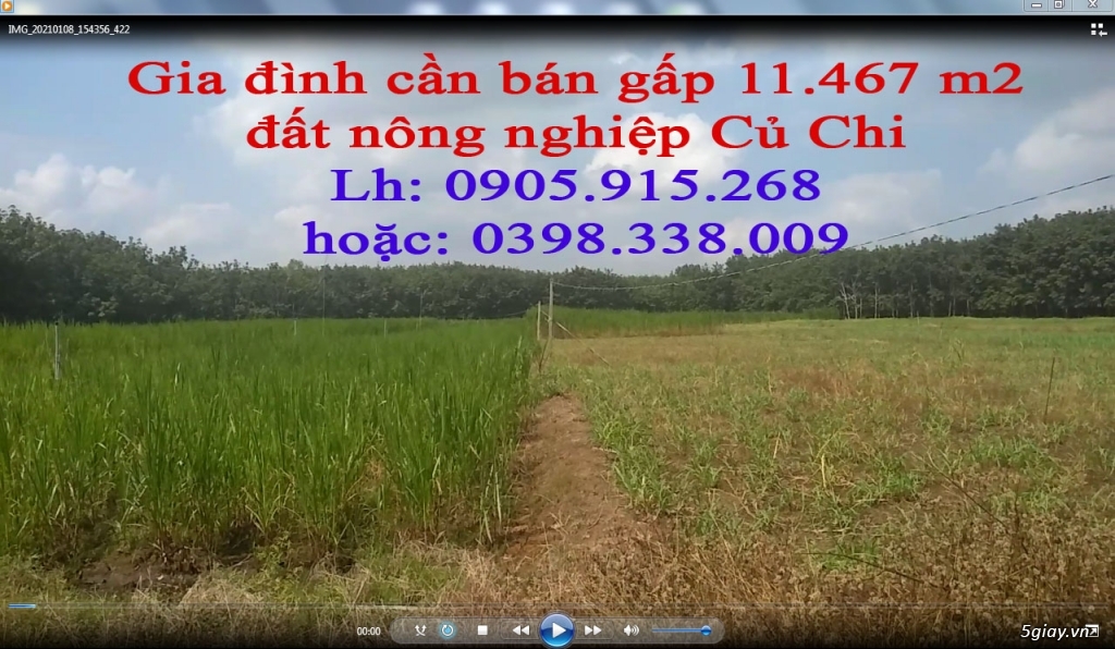 Nhà cần tiền cho con bán hai miếng đất lớn tại Củ Chi và Bình Thuận