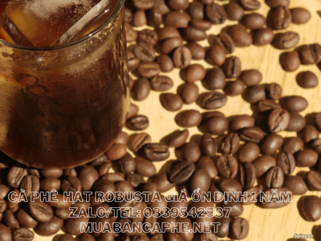 Cà phê hạt Robusta rang mộc pha máy chất lượng thượng hạng - 2