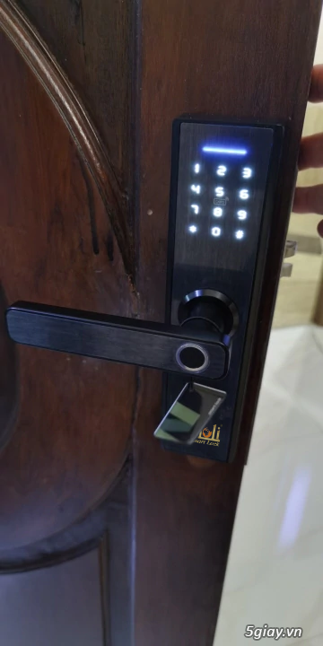 Khóa vân tay cao cấp MOLI - 6