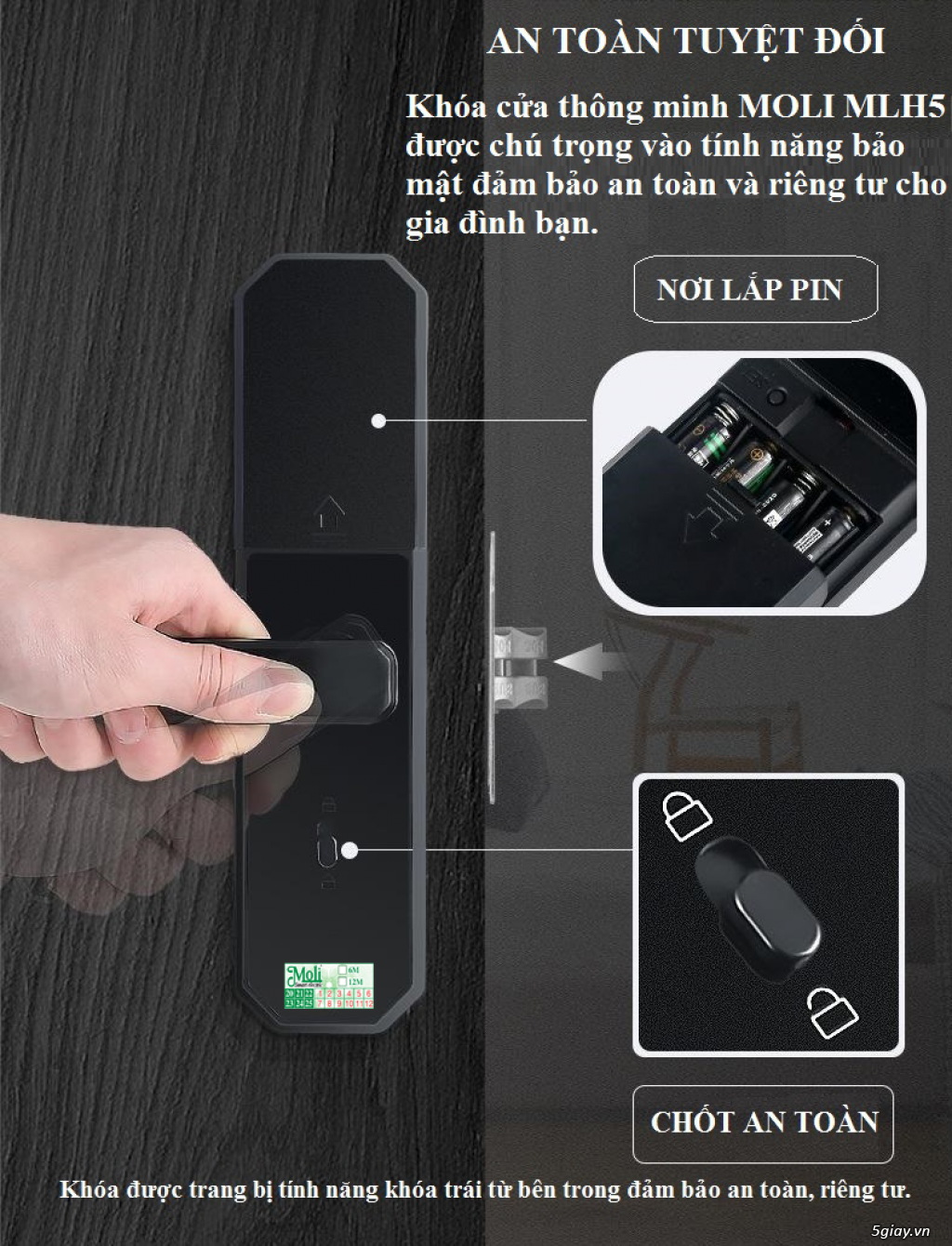 Khóa vân tay cao cấp MOLI - 5