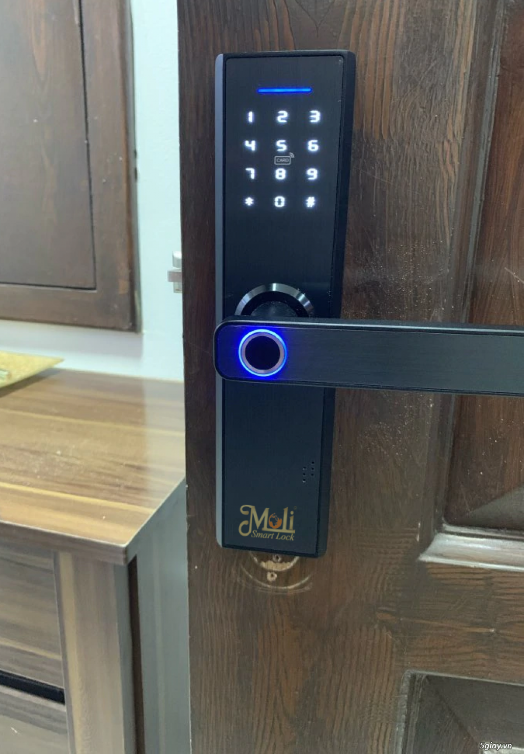 Khóa vân tay cao cấp MOLI - 10