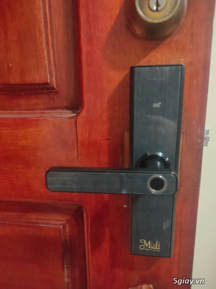 Khóa vân tay cao cấp MOLI - 7