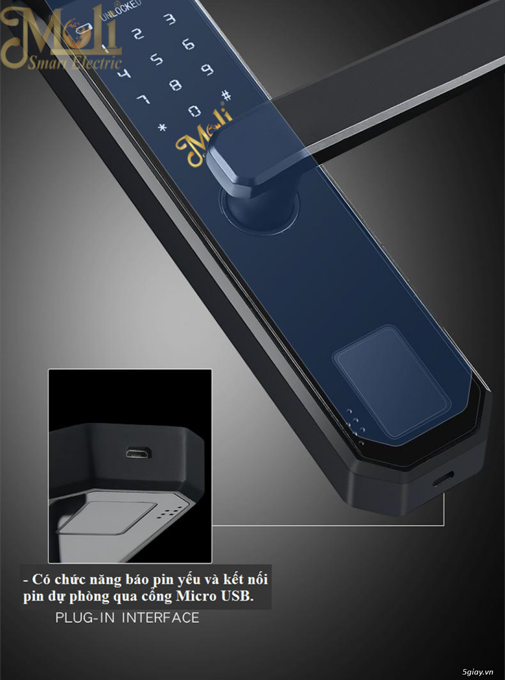 Khóa vân tay cao cấp MOLI - 3