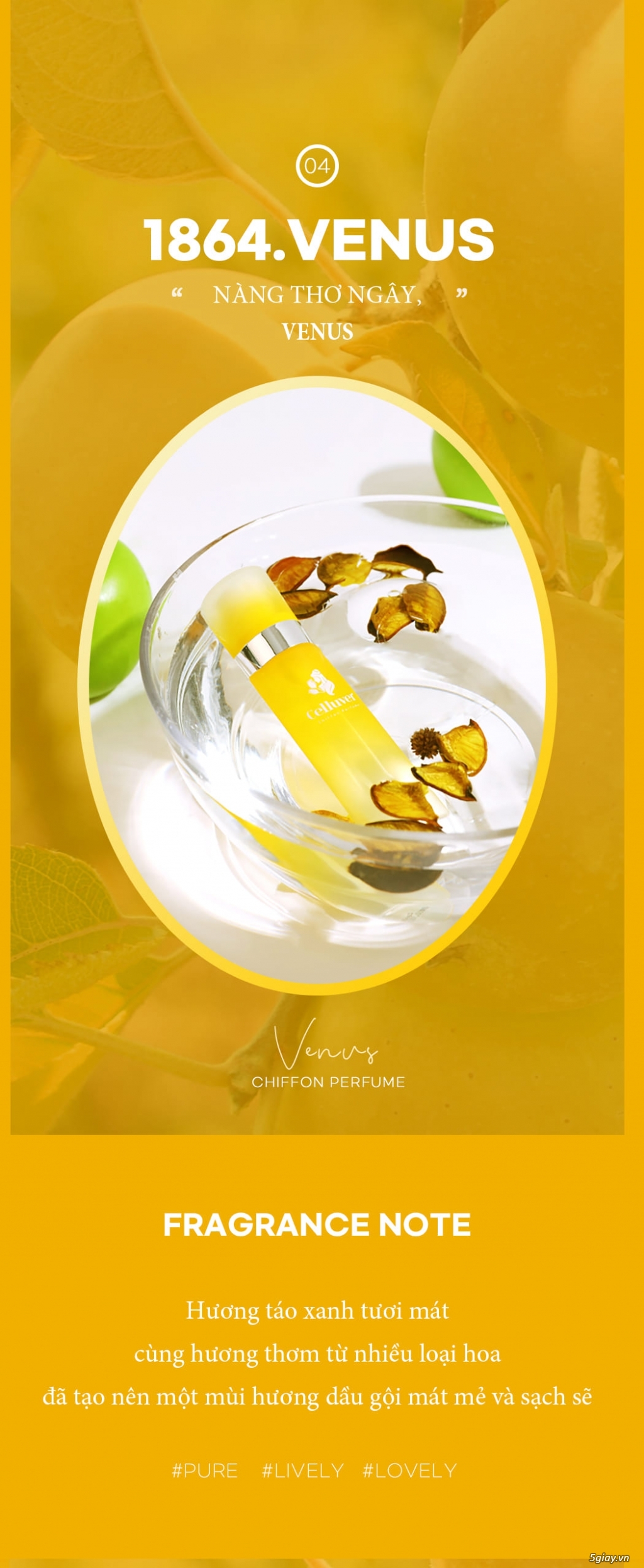 CELLUVER Nước Hoa Voan Chiffon Perfume - 1864 Venus 80ml - 4