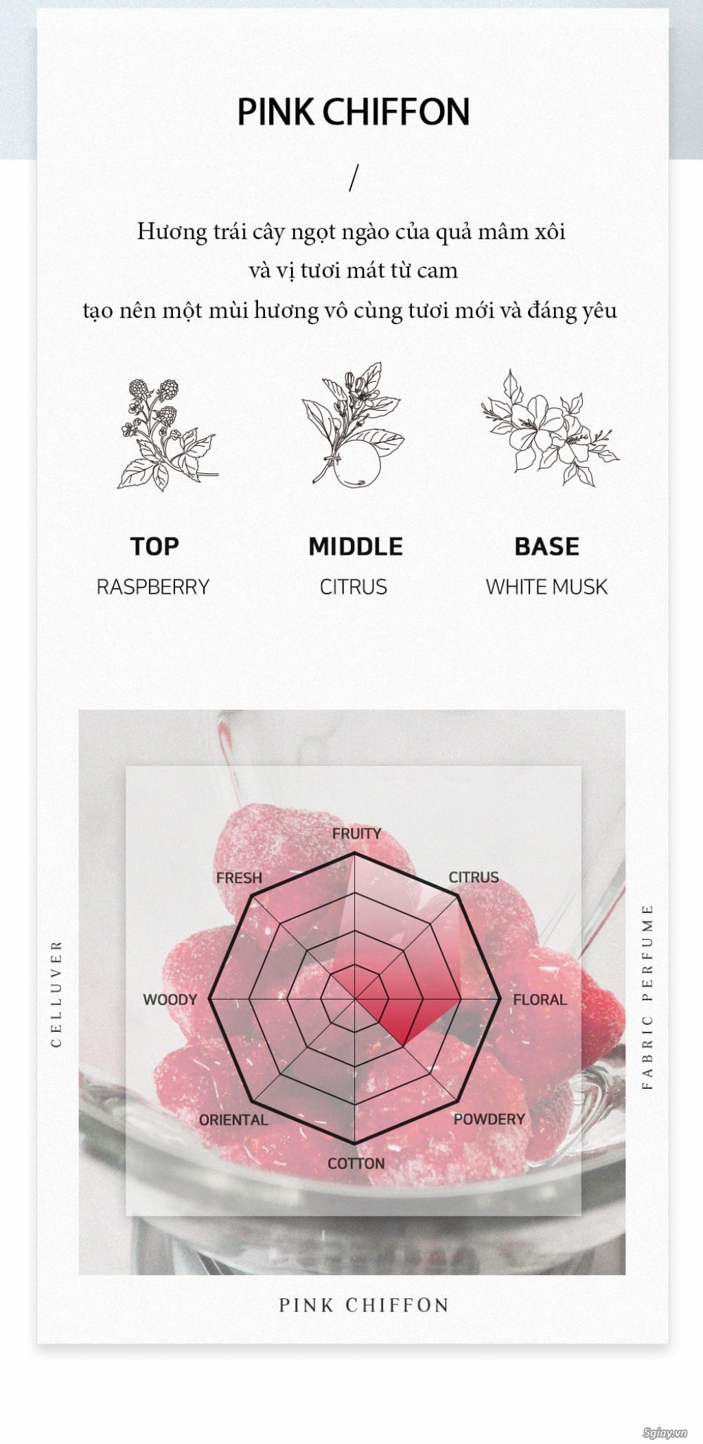 CELLUVER Nước Hoa Vải Fabric Perfume - Celluver Pink Chiffon 70ml - 6