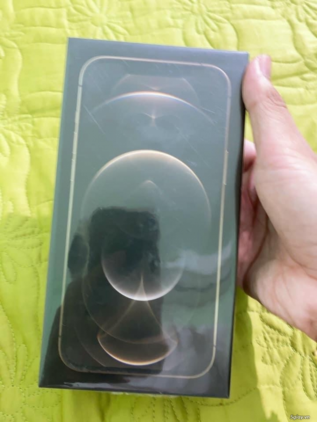 Iphone 12 promax 125G Gold chưa active