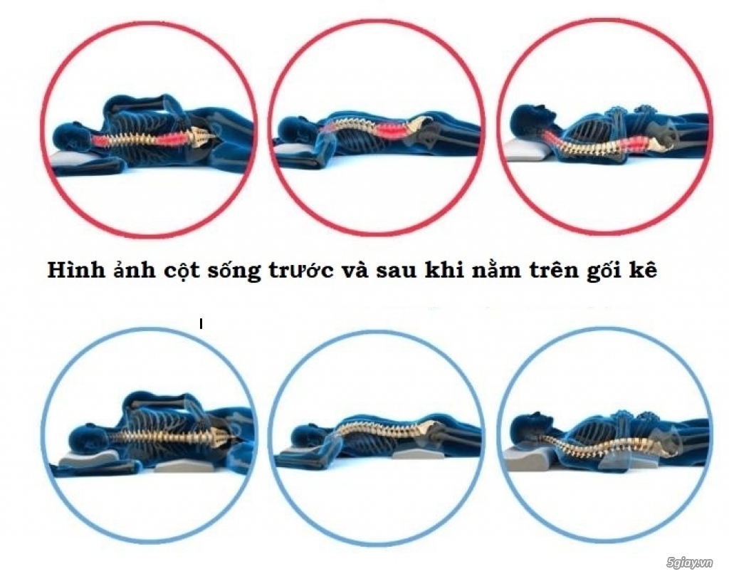 Bộ 3 gối bảo vệ cột sống cổ, thắt lưng và kê chân khi ngủ - 4