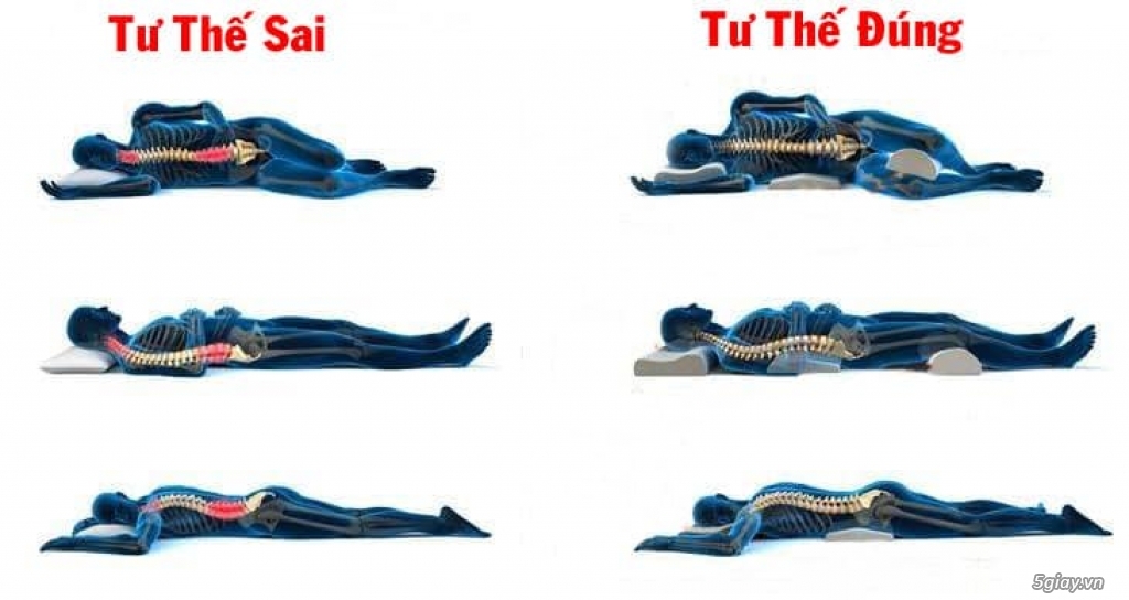 Bộ 3 gối bảo vệ cột sống cổ, thắt lưng và kê chân khi ngủ - 1