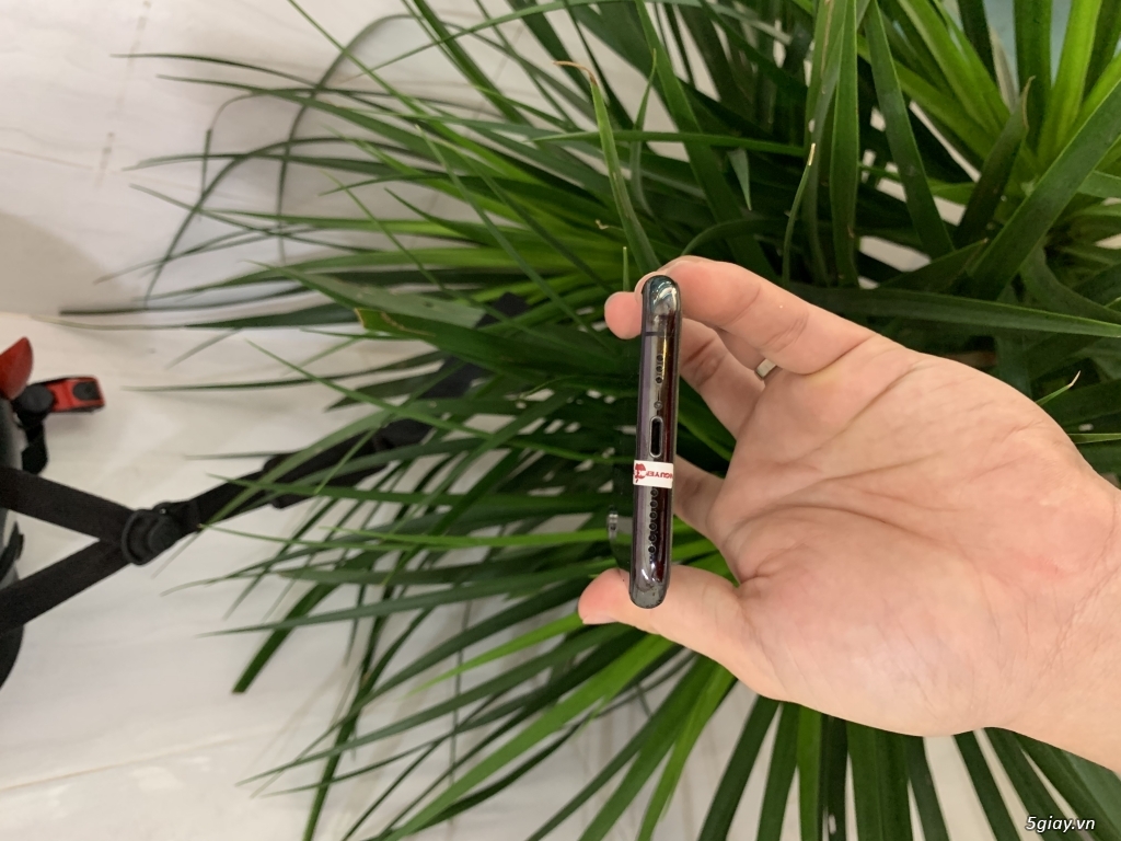 Xs 256 zinall - 2