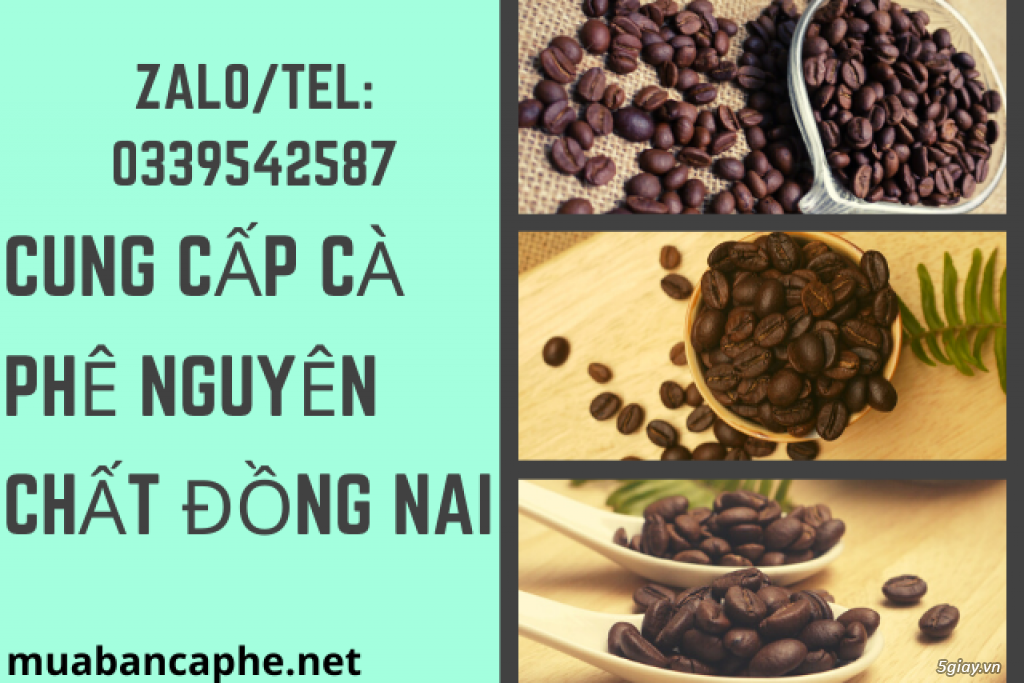 Cung cấp cà phê nguyên chất cho các đại lý giá sỉ ổn định tại Biên Hòa