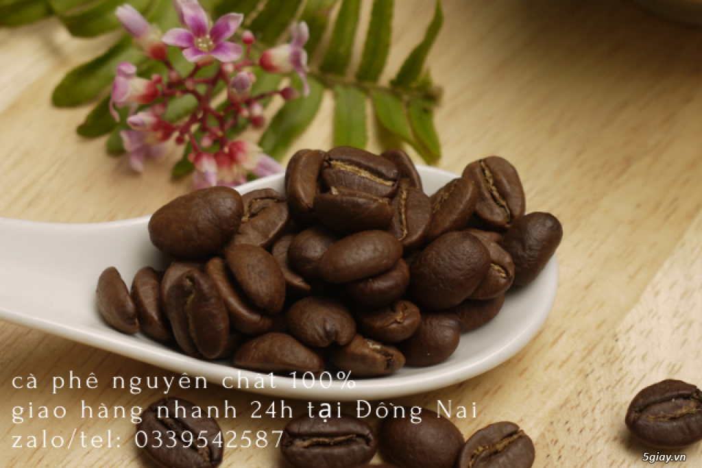 Cung cấp cà phê nguyên chất cho các đại lý giá sỉ ổn định tại Biên Hòa - 1