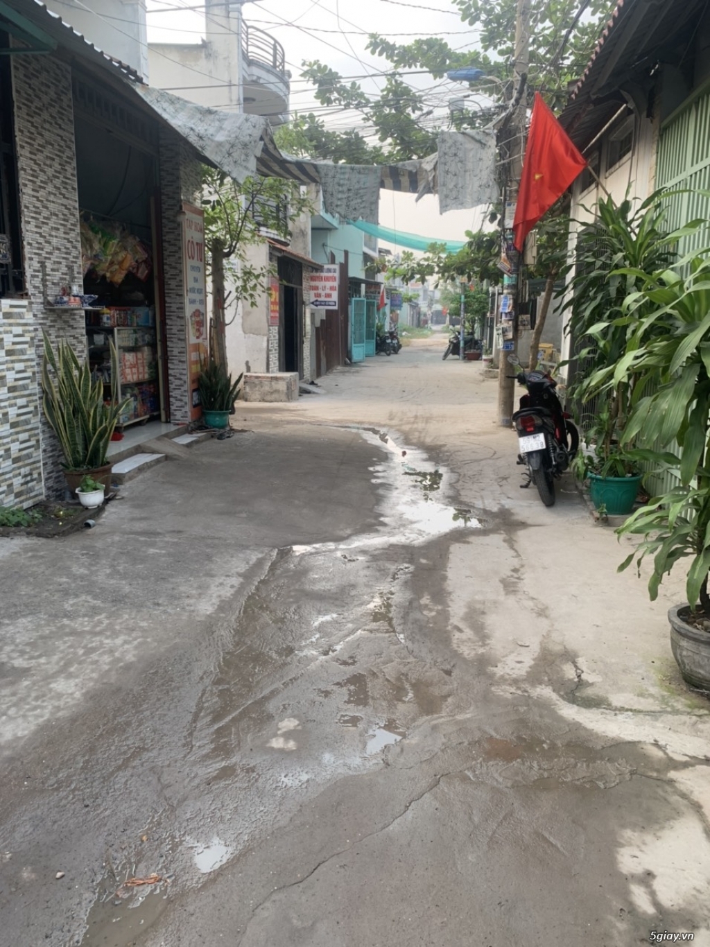 Nhà Liên Ấp 2-6 Hẻm Hồ bơi Sao Việt - 1
