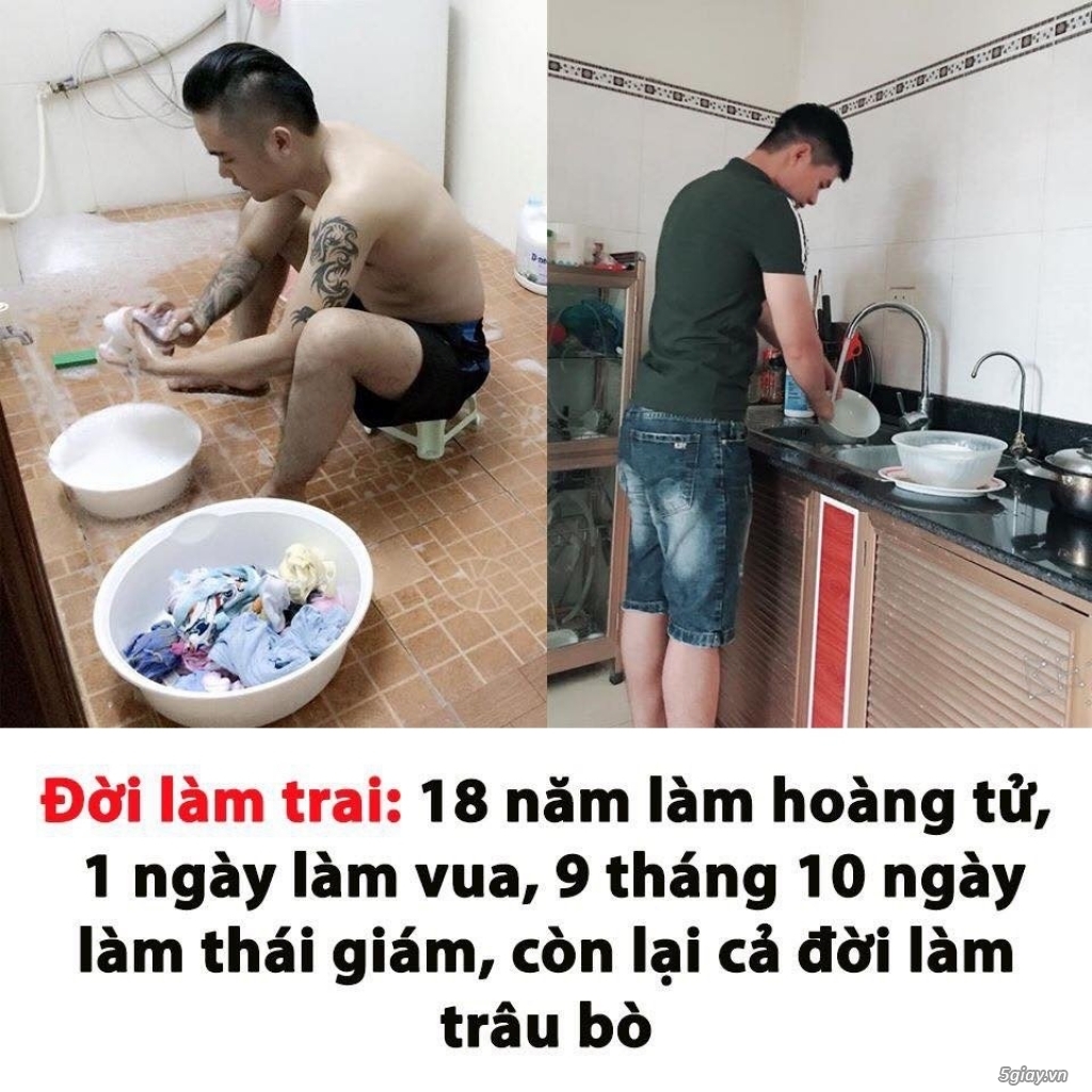 ĐÁNH BÀI BỊ TỊCH THU HẾT PHẢI KO