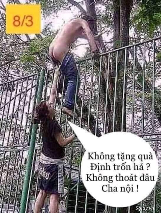 Chúc mừng chị em ngày 8 tháng 3