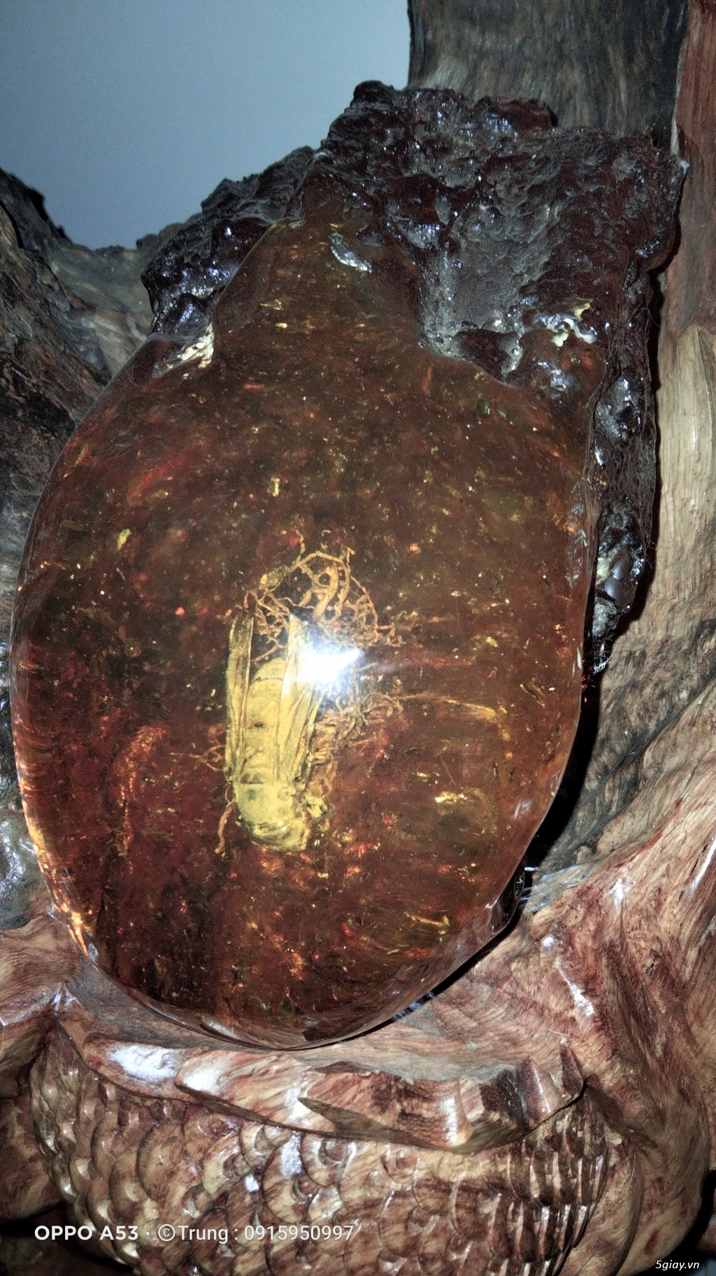 hổ phách hàng tự nhiên - 2