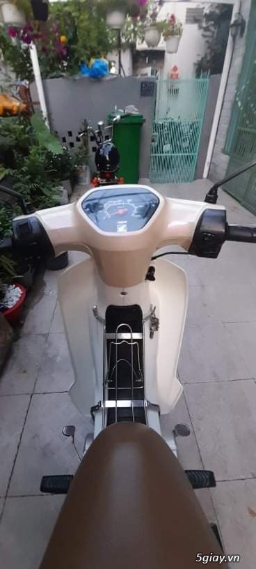 Super Dream 110cc - 1