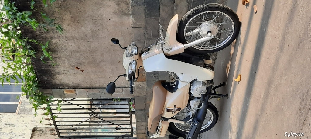 Super Dream 110cc