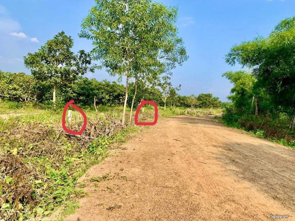BÁN GẤP ĐẤT BÌNH PHƯỚC RẺ - 2