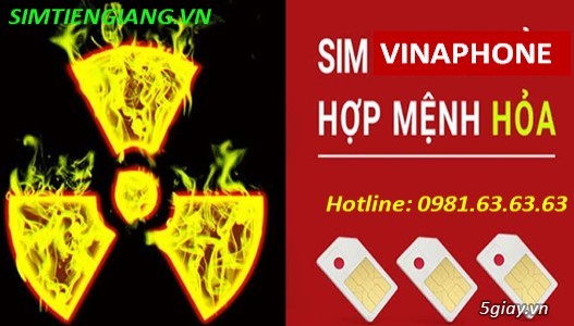 Tìm Mua Sim Vinaphone Hợp Mệnh Hỏa Tại Huyện Tân Phú - 2
