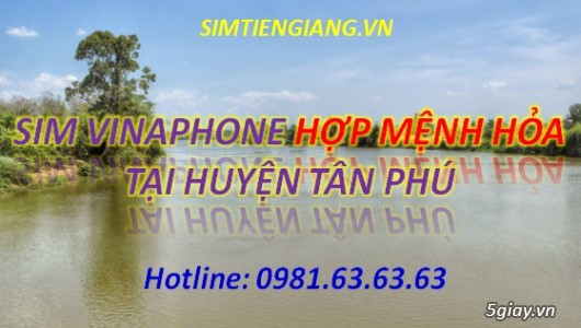 Tìm Mua Sim Vinaphone Hợp Mệnh Hỏa Tại Huyện Tân Phú