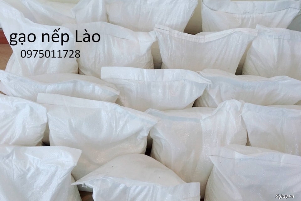 Gạo nếp Lào - 9