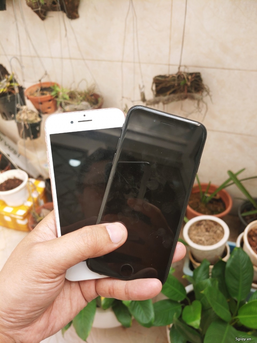 Iphone 7. zin nguyên bản. chuẩn quốc tế. - 4