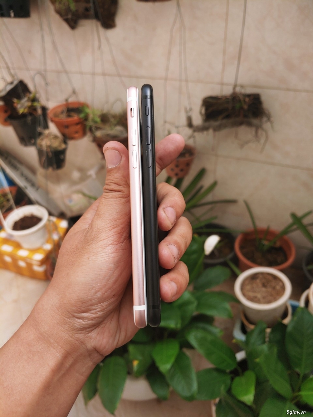 Iphone 7. zin nguyên bản. chuẩn quốc tế. - 2