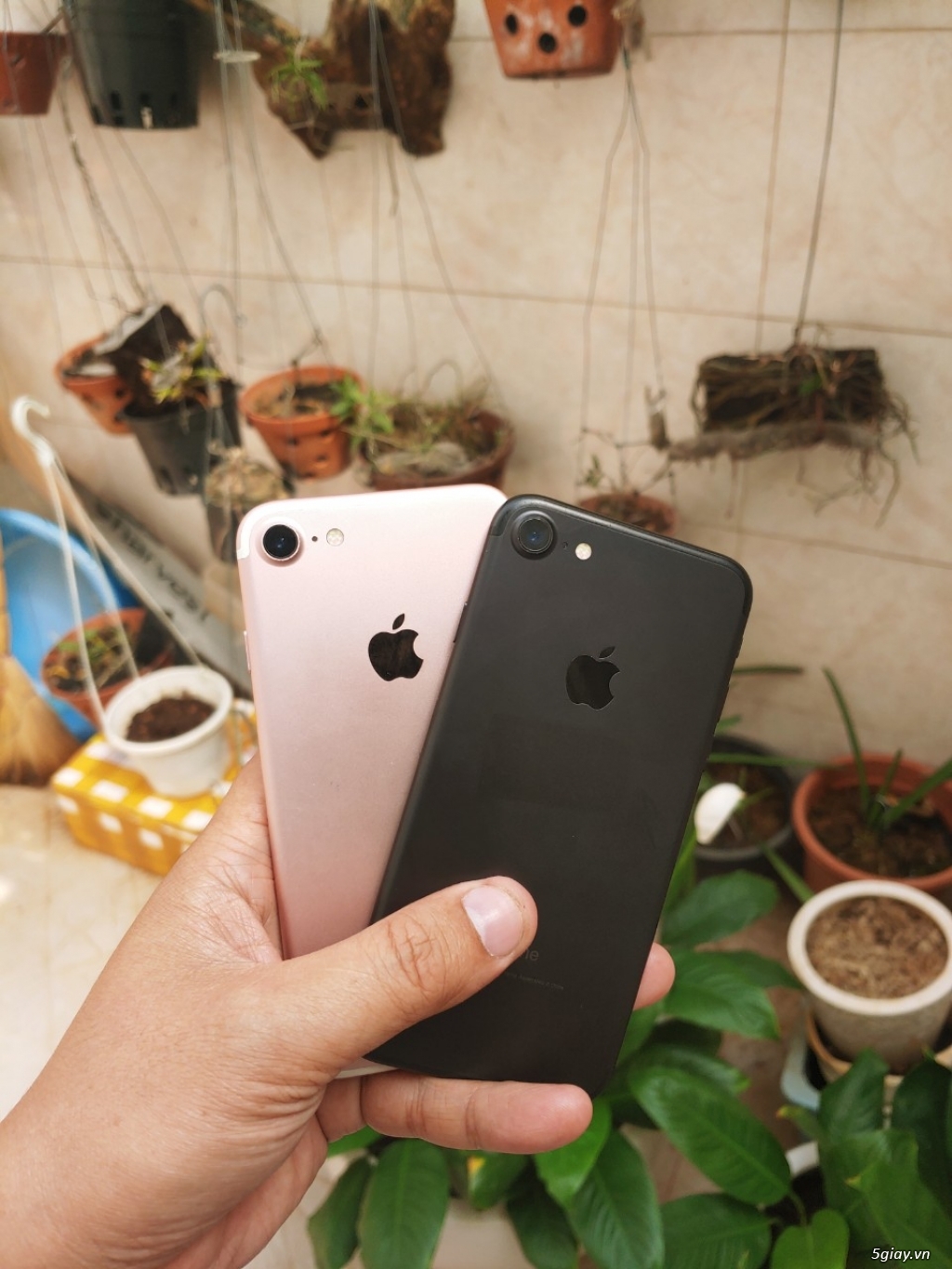 Iphone 7. zin nguyên bản. chuẩn quốc tế. - 3
