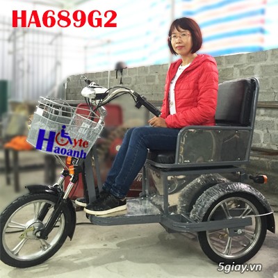 xe điện ba bánh HA689G2 - 2