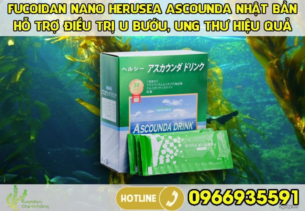 Giới thiệu Top 3+ địa chỉ mua Fucoidan ở TPHCM chất lượng