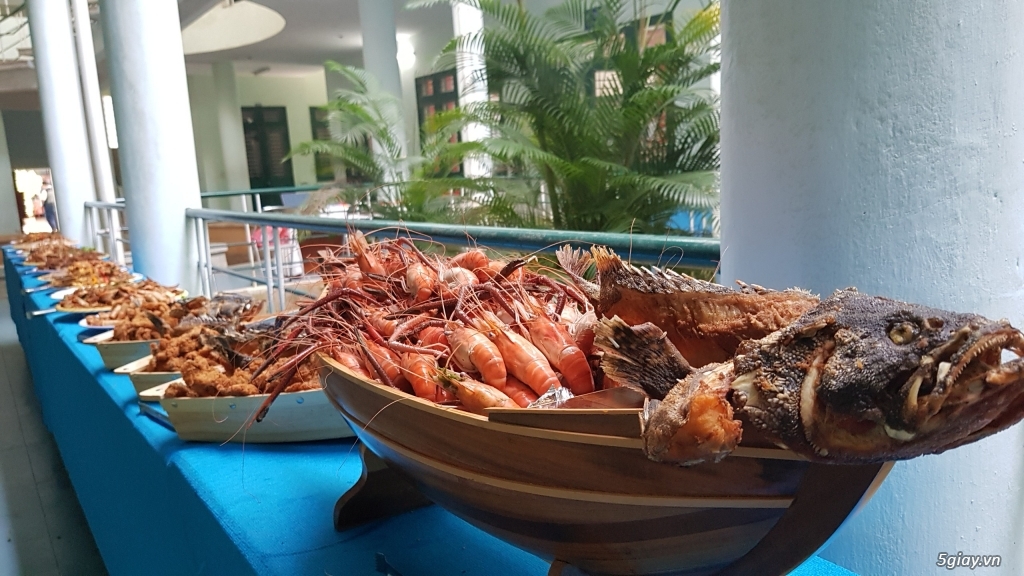 Alo! Đại tiệc bãi biển Đà Nẵng