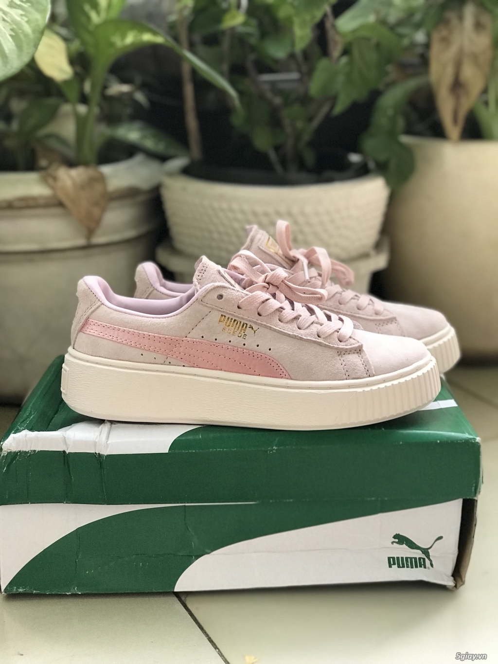 PUMA SUEDE PINK  size 37 cho nữ new 100%
