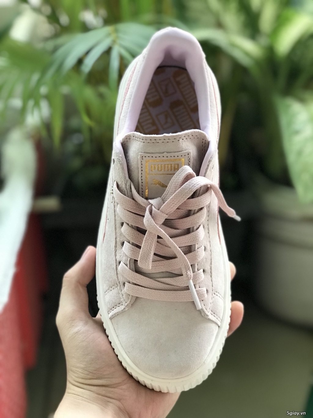 PUMA SUEDE PINK  size 37 cho nữ new 100% - 1