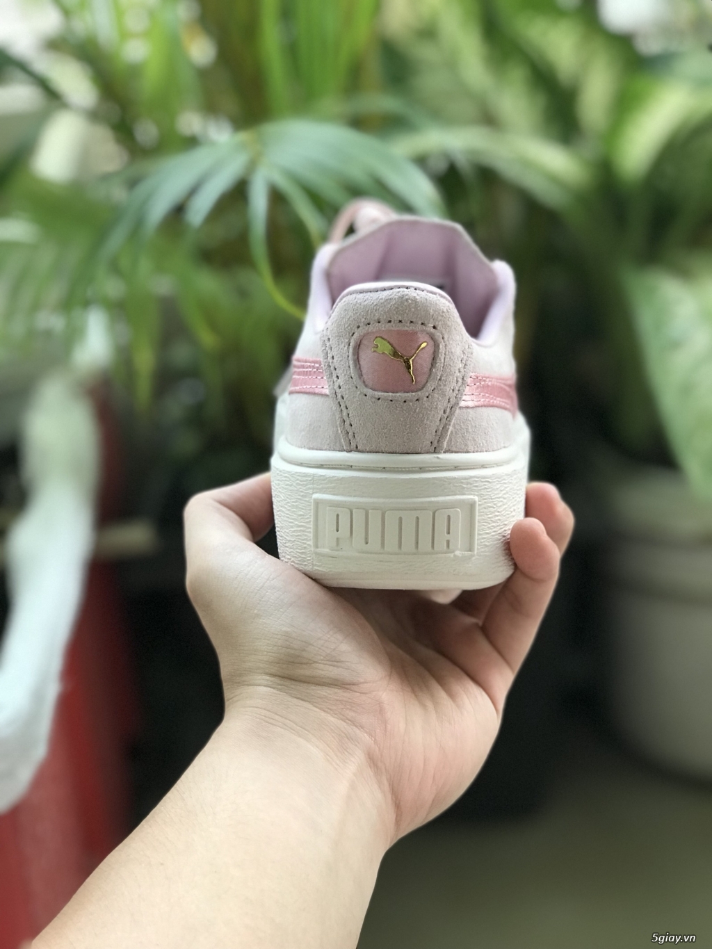 PUMA SUEDE PINK  size 37 cho nữ new 100% - 2