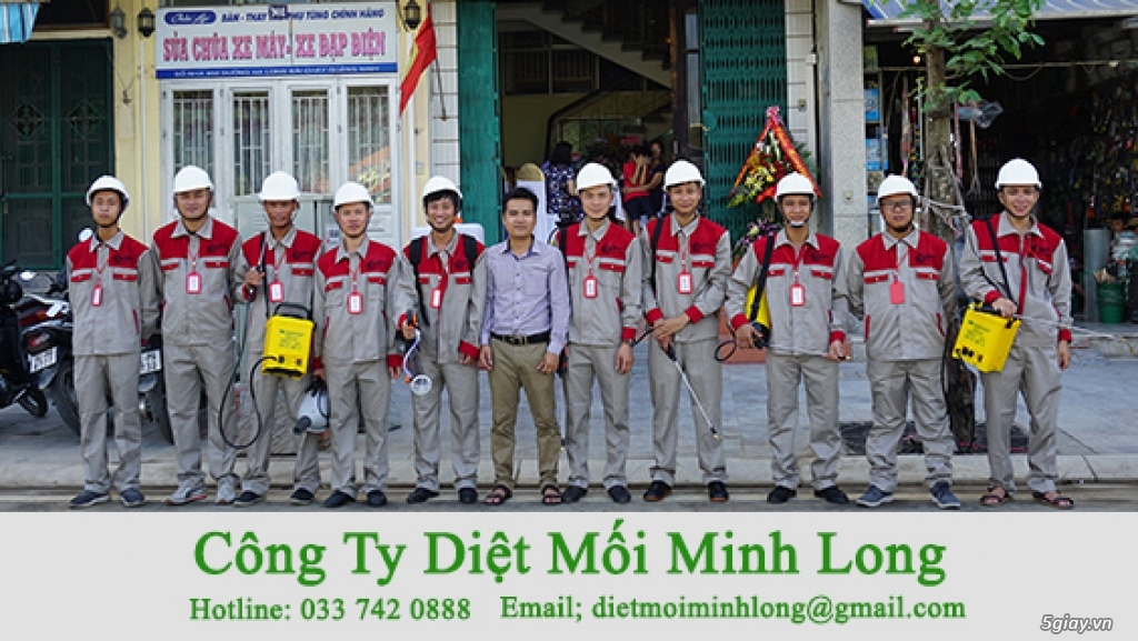 Dịch vụ phòng chống mối cho nhà ở tại Bình Dương - 5