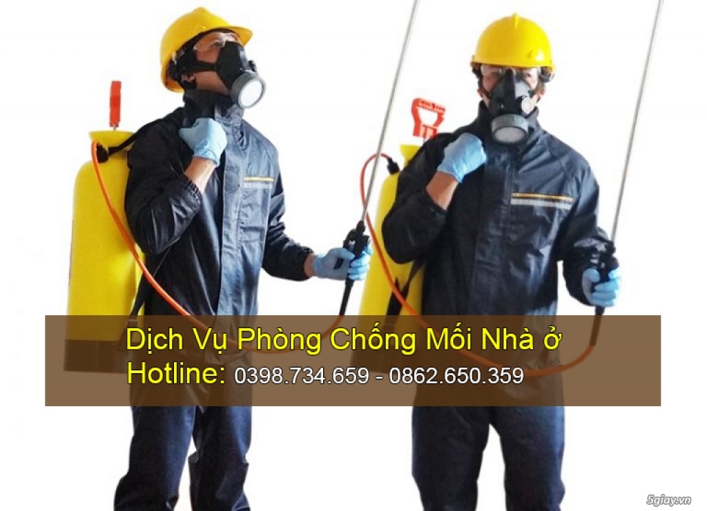 Dịch vụ phòng chống mối cho nhà ở tại Bình Dương