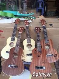 Bán đàn ukulele giá rẻ tại hóc môn hồ chí minh - 12