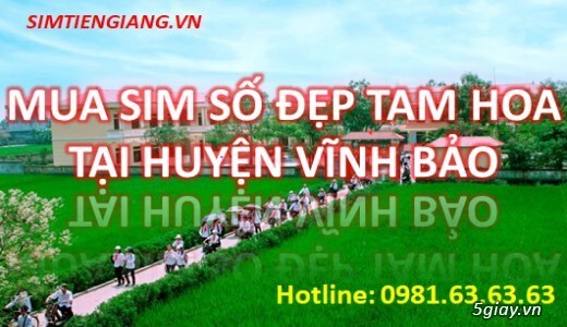 Gợi Ý Địa Chỉ Uy Tín Mua Sim Số Đẹp Tam Hoa Tại Huyện Vĩnh Bảo